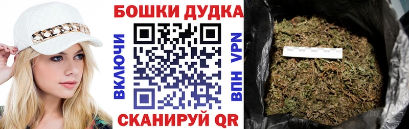 Бошки марихуана Amnesia  Велиж 